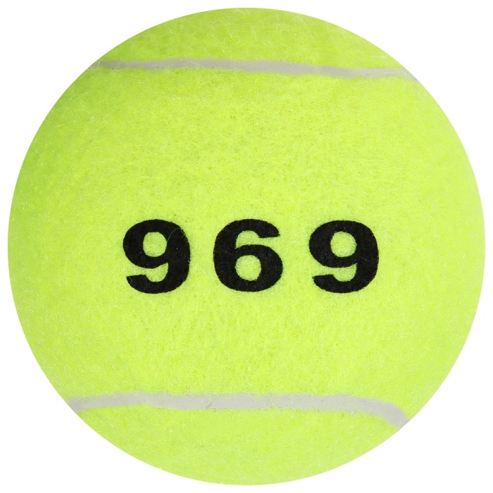 Набор мячей для большого тенниса ONLYTOP № 969, тренировочный, 3 шт. Набор мячей для большого тенниса ONLYTOP № 969, тренировочный, 3 шт.