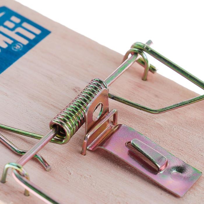 Крысоловка Чистый дом Крысоловка Чистый дом