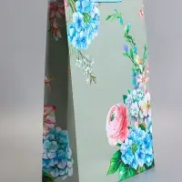 Пакет подарочный ламинированный &laquo;Гармония&raquo;, 33&times;42.5&times;10 см