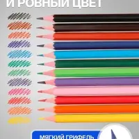 Карандаши Calligrata, цветные 12 цветов, эконом, заточенные, шестигранные, пластиковые