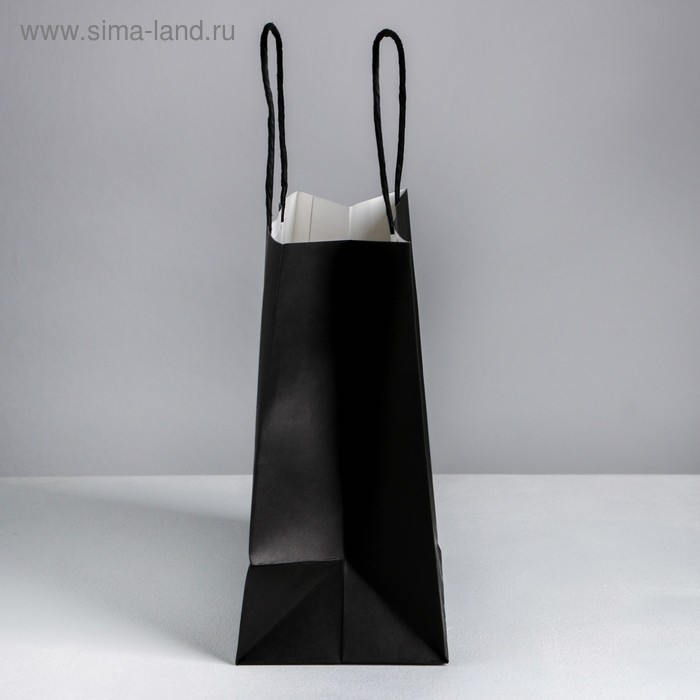 Пакет подарочный, упаковка, «Ничего не сбудется», 22 х 22 х 11 см Пакет подарочный, упаковка, «Ничего не сбудется», 22 х 22 х 11 см