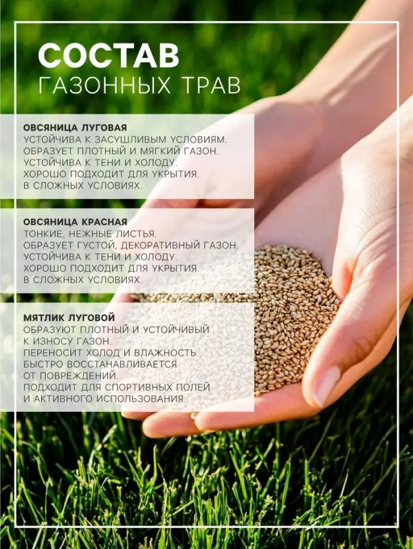 Газонная травосмесь &laquo;Красотень&raquo;, &laquo;Гном&raquo; 1 кг