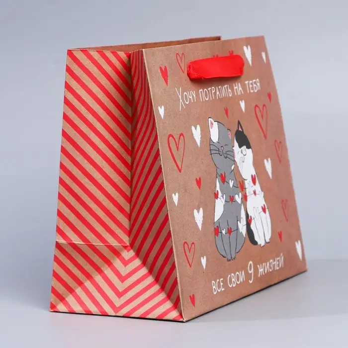 Пакет подарочный крафтовый, упаковка, «Потрачу девять жизней», MS 18 х 23 х 8 см Пакет подарочный крафтовый, упаковка, «Потрачу девять жизней», MS 18 х 23 х 8 см