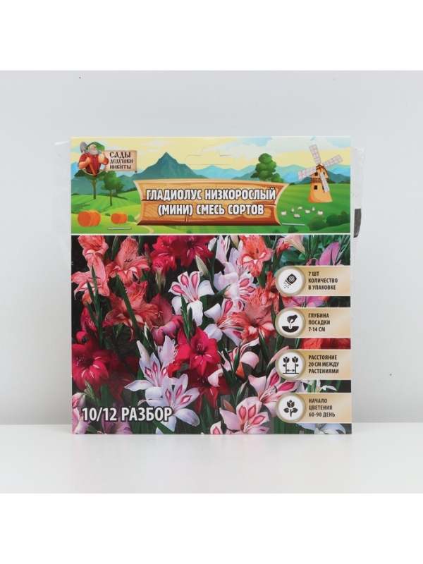 Гладиолус Низкорослый (мини) смесь сортов, луковица цветов в пакете с перфорацией, р-р 10/+ , 7 шт.