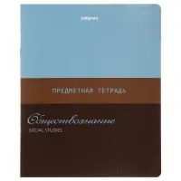 Комплект 12 предметных тетрадей 48 листов, справочная информация, 60гр, Стиль 2026