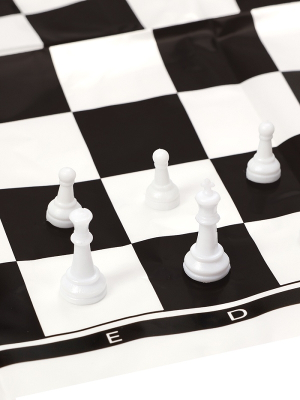 Шахматы 22 х 22 см, король h-2.1 см, d-0.9 см, фигуры пластик Шахматы 22 х 22 см, король h-2.1 см, d-0.9 см, фигуры пластик