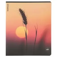 Тетрадь 48 листов в клетку ErichKrause Macro Nature, МИКС