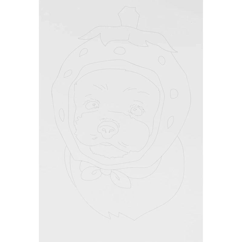 Набор для рисования Скетчинг акварелью Модные пёсики, Рн-044