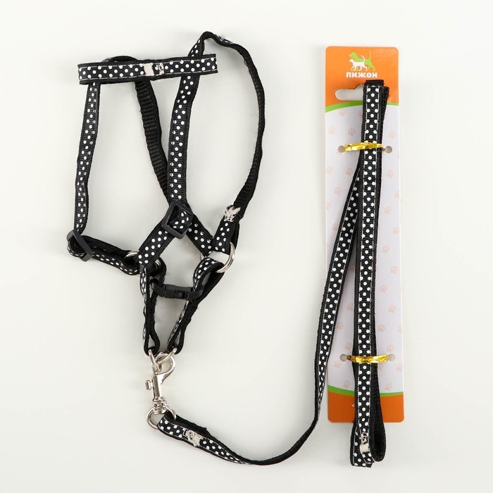 Комплект амуниции Комплект амуниции "Горошек", ширина 1 см, шлейка 27-42 см, поводок 120 см, чёрный