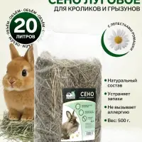 Сено луговое &laquo;Пижон&raquo; лепестки ромашки, для грызунов, 20 л, 500 г