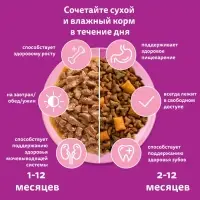 Влажный корм Whiskas для котят, рагу ягненок, 75 г