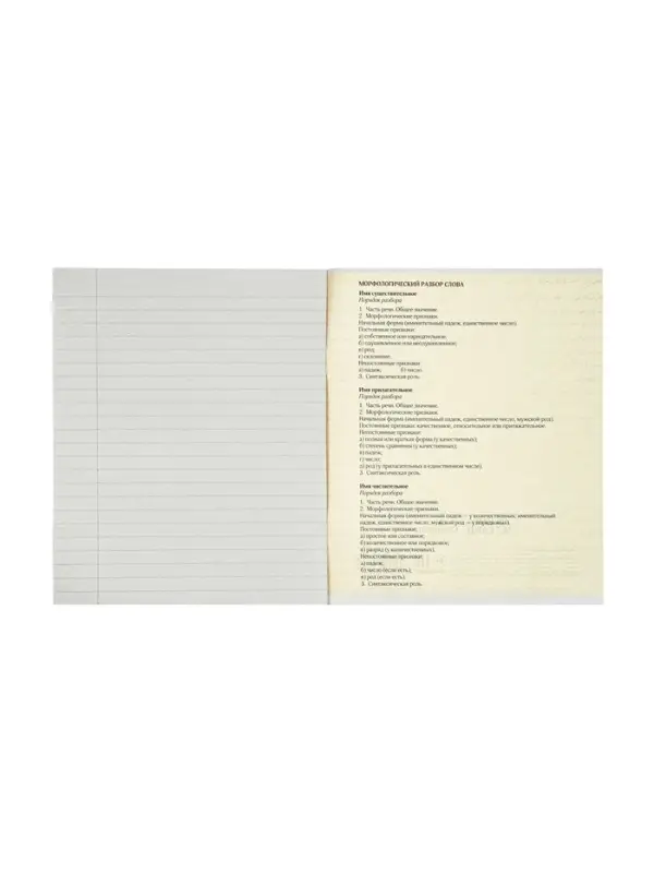 Предметная тетрадь по русскому языку Calligrata &laquo;Животные мемы&raquo;, 36 листов, в линейку, со справочным материалом, обложка из мелованной бумаги