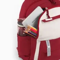 Рюкзак 31*14*44 см, 2 отд.3 н/карм+пенал, Комби бордо/бел