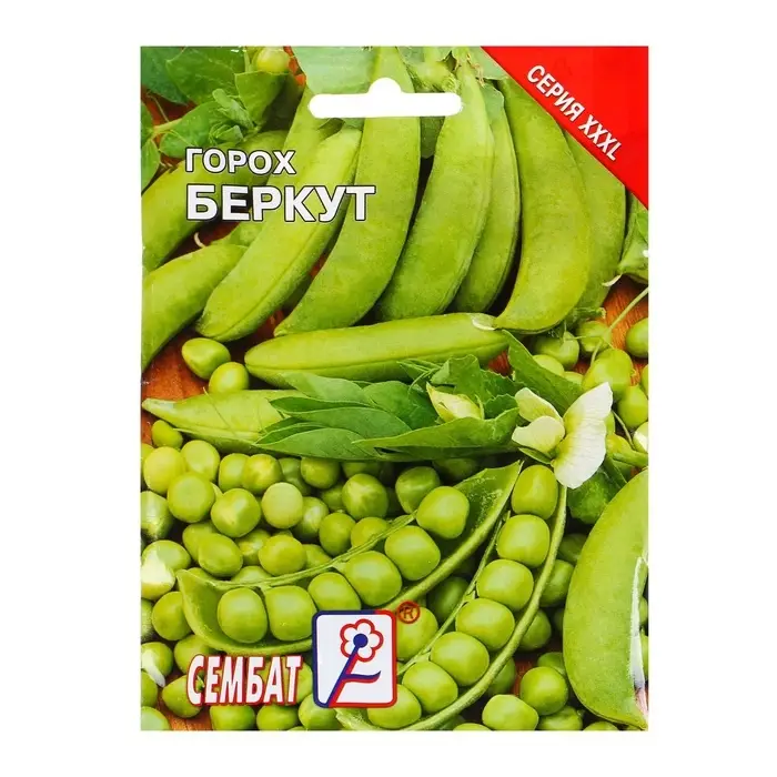 Семена Горох &laquo;Беркут&raquo;, XXXL, &laquo;Сембат&raquo;, 25 г