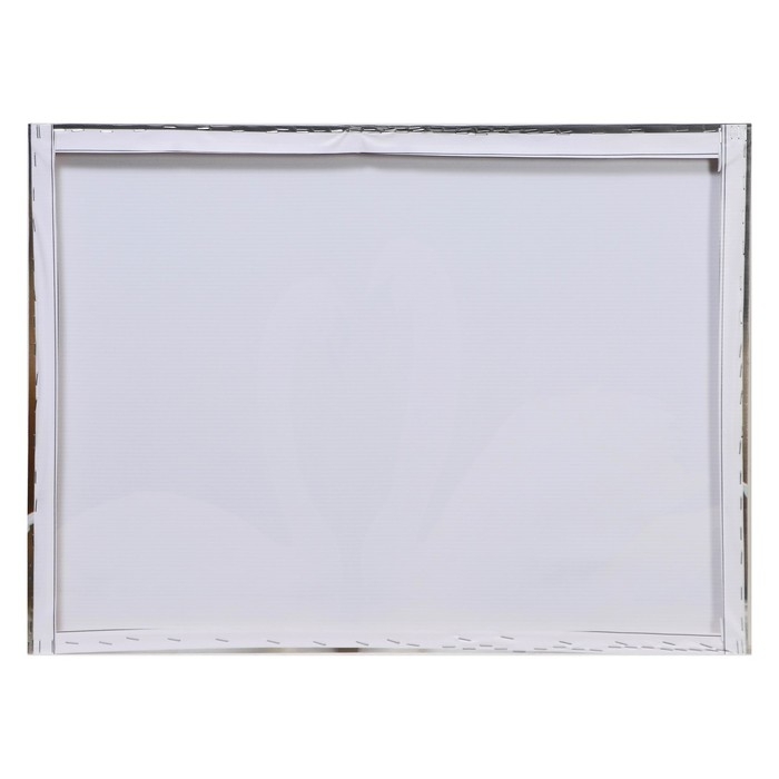 Картина Картина "Лебёдушки" 50*70 см