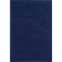 Книга учета Выбор есть А4 96л линейка блок типограф бумвинил