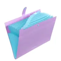 Папка А4 Haze, 12 отделений, 600 мкм, на кнопке, сиреневая