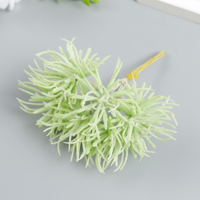 Декор для творчества Декор для творчества "Сфангум" 1 букет=6 цветов светло-зелёный 5х13,5 см