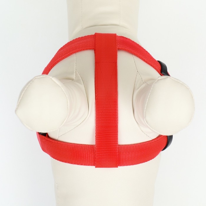 Шлейка светящаяся размер M, стропа 2,5 см, ОГ 38-50 см, 3 режима свечения красная Шлейка светящаяся размер M, стропа 2,5 см, ОГ 38-50 см, 3 режима свечения красная