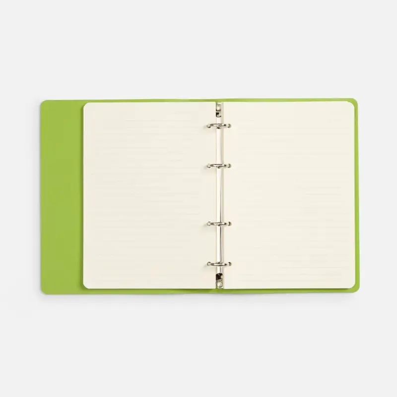 Ежедневник Ringo, недатированный, зеленый Ежедневник Ringo, недатированный, зеленый