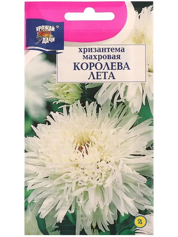 Семена цветов Хризантема многоцветковая &laquo;Королева лета&raquo;, 0.03 г, &laquo;УРОЖАЙ УДАЧИ&raquo;