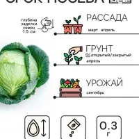 Семена Капуста белокочанная &laquo;Июньская&raquo;, 0.5 г, скороспелая, &laquo;Рецепты дедушки Никиты&raquo;