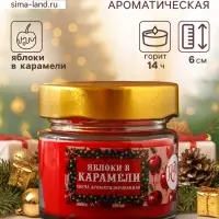 Ароматическая свеча в банке &laquo;Яблоки в карамели&raquo;, 100 мл, 14 ч