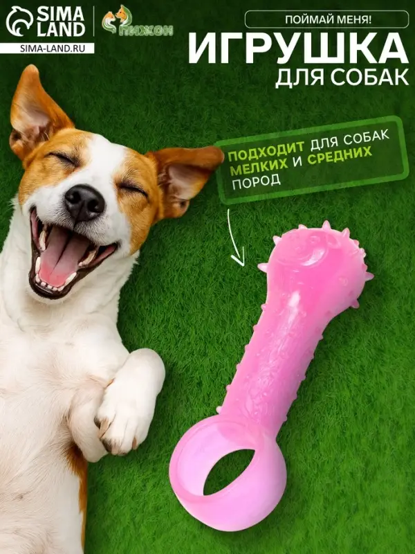 Игрушка-дразнилка для собак &laquo;Поймай меня!&raquo;,9.5 см, прозрачная, PP, розовая