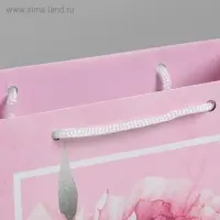 Пакет подарочный ламинированный, упаковка, «Пион», MS 18 х 23 х 8 см