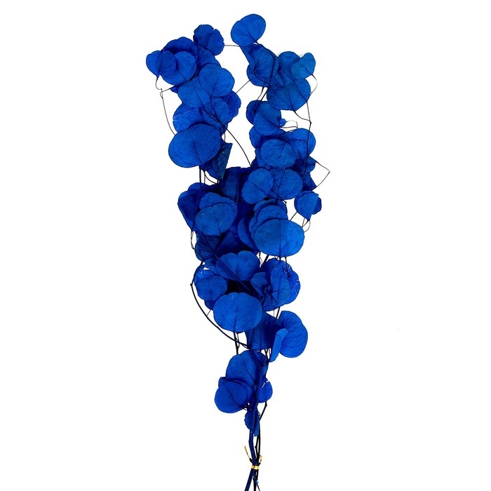 Сухоцвет персикого дерева, 50 г, длина — 70 см, цвет синий Сухоцвет персикого дерева, 50 г, длина — 70 см, цвет синий
