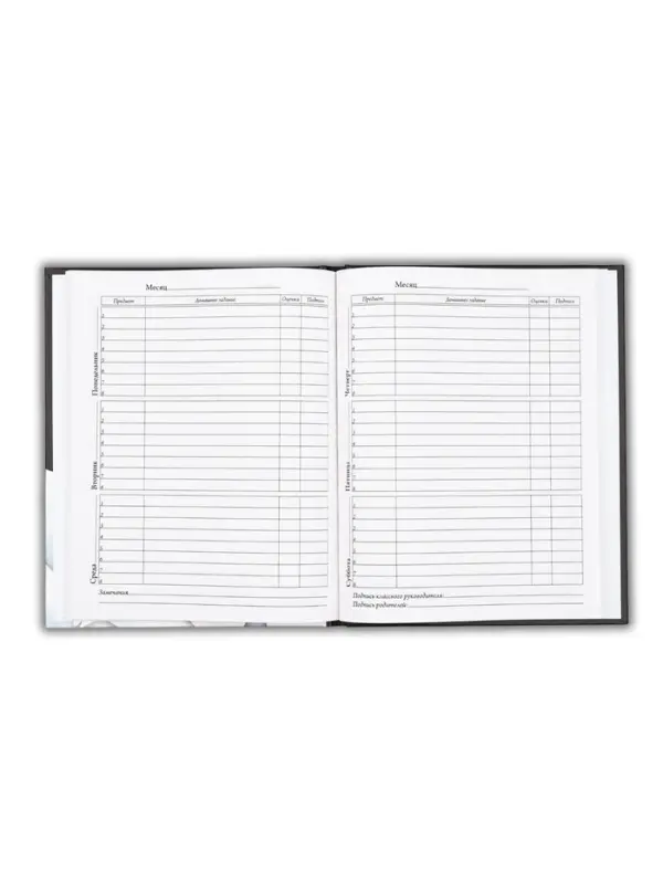 Дневник школьный для 5-11 класса, в твердой обложке, 48 л., Black