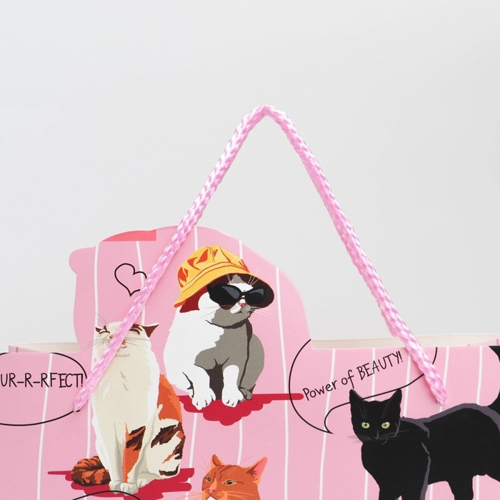 Пакет подарочный, упаковка, «Girl PWR», 25 х 26 х 10 см Пакет подарочный, упаковка, «Girl PWR», 25 х 26 х 10 см