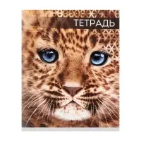 Тетрадь 48 листов в клетку, Calligrata «Дикие кошки», обложка мелованная бумага, МИКС Тетрадь 48 листов в клетку, Calligrata «Дикие кошки», обложка мелованная бумага, МИКС