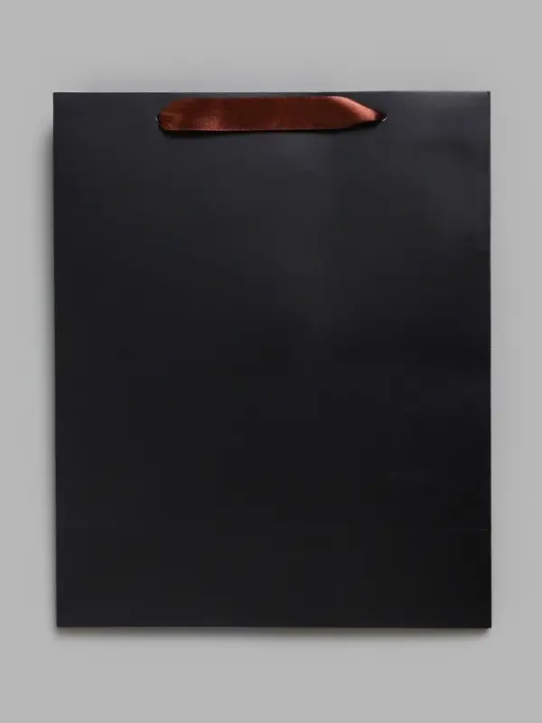 Пакет подарочный ламинированный &laquo;Чёрный&raquo;, M 26&times;32&times;12 см
