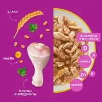 Влажный корм Whiskas для кошек, с курицей, желе, 75 г