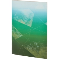 Тетрадь общая А4,48л,кл,скоб,офсет-2 Ice син/зел