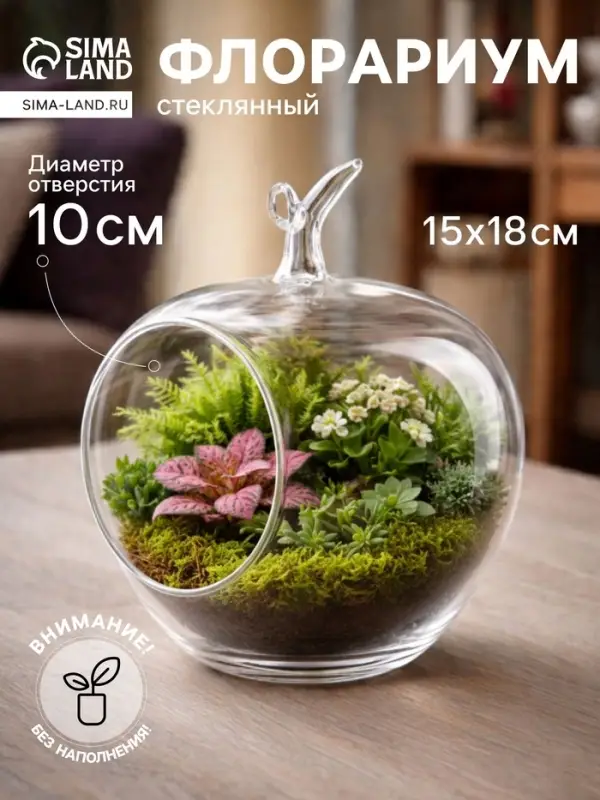 Флорариум &laquo;Яблоко&raquo;, 15&times;18 см, стекло