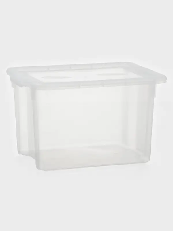 Контейнер для хранения Porter, 21 л, 43&times;32&times;27 см, с крышкой, прозрачный