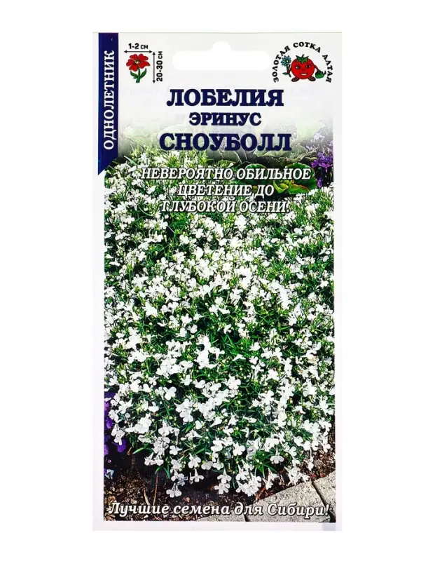 Семена Лобелия Сноуболл эринус /Сотка/ 0,05 г/*1800 Семена Лобелия Сноуболл эринус /Сотка/ 0,05 г/*1800
