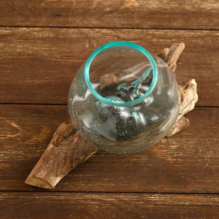 Вазон на коряге  Вазон на коряге "Очарование" 12х10х10 см