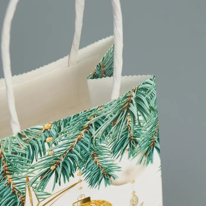 Пакет подарочный новогодний крафтовый «Роскошь Нового года», 15 х 10 х 6 см Пакет подарочный новогодний крафтовый «Роскошь Нового года», 15 х 10 х 6 см