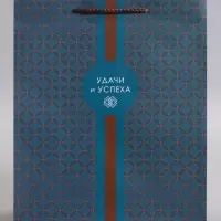 Пакет подарочный ламинированный &laquo;Статусный акцент&raquo;, 26&times;12&times;32 см
