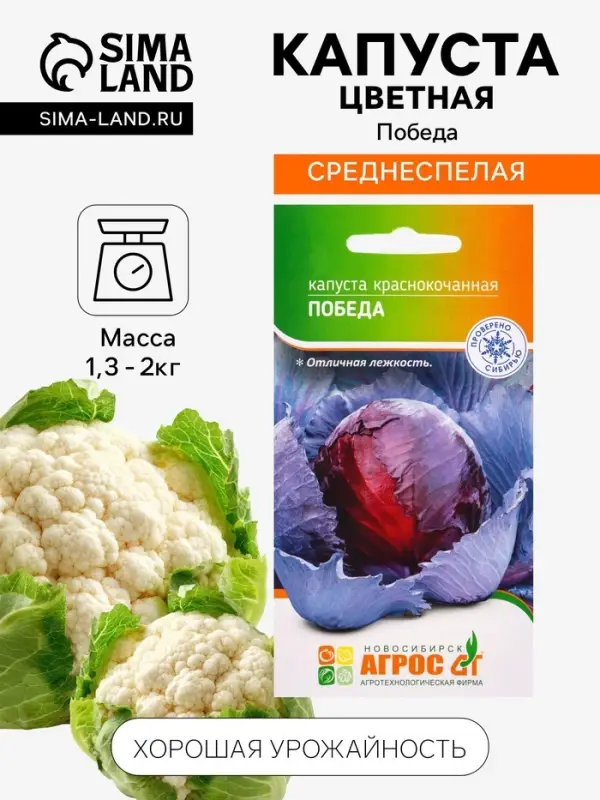 Семена Капуста &laquo;Победа&raquo; 0.3 г, &laquo;Агросс&raquo;