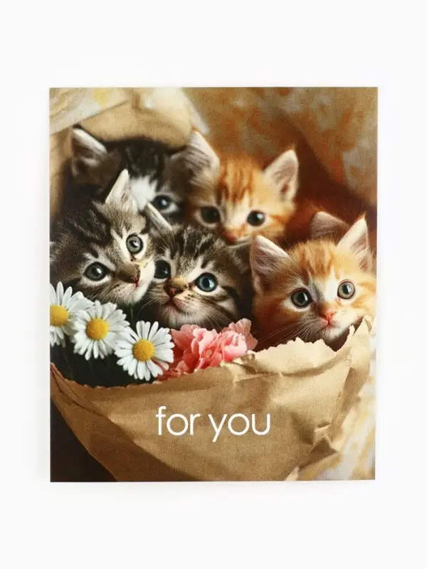 Набор мини-открыток в коробке со скрепками &laquo;Котики&raquo;, 35 штук, 8 x 10 см