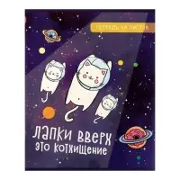 Комплект тетрадей из 5 штук, 48 листов в клетку Calligrata &laquo;Космокот&raquo;, обложка мелованный картон, блок офсет
