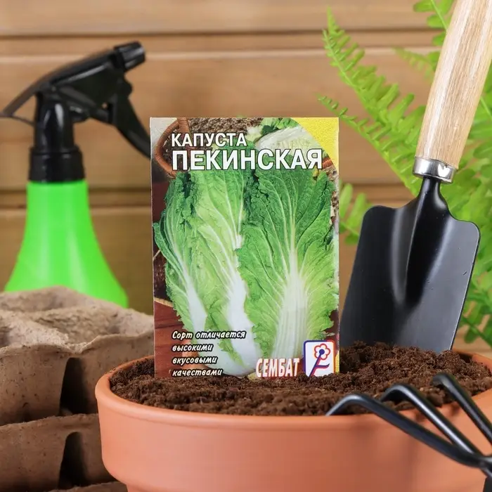 Семена Капуста пекинская &laquo;Любаша&raquo;, 0.5 г, &laquo;Сембат&raquo;