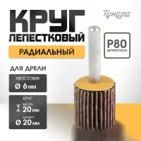 Круг лепестковый радиальный ТУНДРА, 20×20×6 мм, Р80