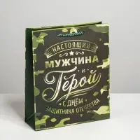 Пакет подарочный ламинированный, упаковка, &laquo;С 23 февраля&raquo;, ML 23&times;27&times;11.5 см