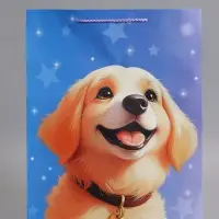 Пакет подарочный "Дружок-компаньон" 33 х 42,5 х 10 см