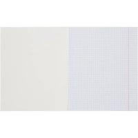 Тетрадь школьная А5, 18л клетка, Выбор есть зеленый 20шт/уп